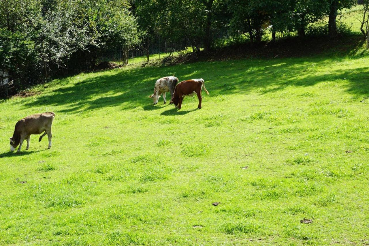 Chalet Bauer Drachselsried Dış mekan fotoğraf